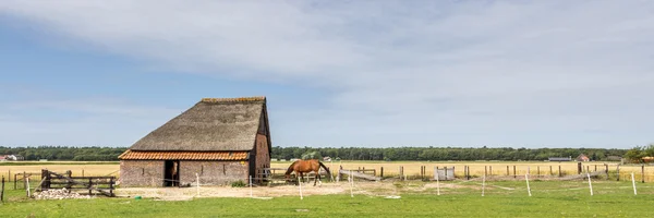 Schapen schuur op de wadden eiland Texel in Nederland — Stockfoto