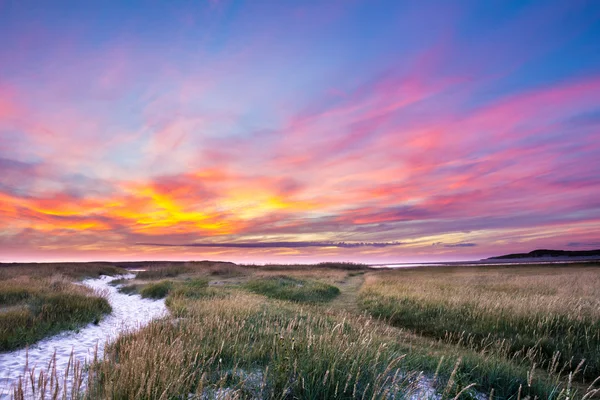 Pôr do sol no parque natural o Slufter na ilha de Wadden Texel em Imagens Royalty-Free