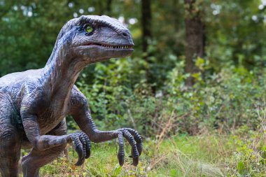 Bir sergi sırasında Triceratops dinozorunun portresi..