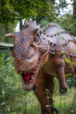 Açık hava sergisi sırasında bir Amargasaurus dinozorunun portresi.