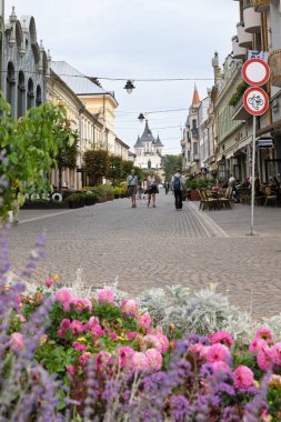 Oradea, Romanya - 24 Eylül 2025: Oradea 'da Strada Vasile Alecsandri Caddesi ve Romanya' nın Crisana bölgesinde Transilvanya 'nın arka planında beyaz katedral Episkopala
