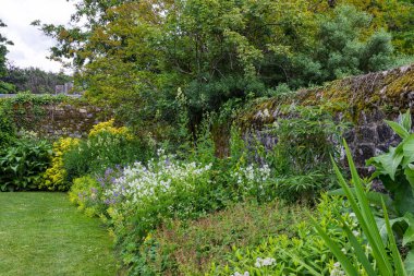 Fransa 'nın Le Chatellier şehrinde Yukarı Britanya' nın güzel botanik bahçesi manzarası