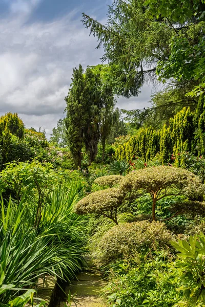 Fransa 'nın Le Chatellier şehrinde Yukarı Britanya' nın güzel botanik bahçesi manzarası