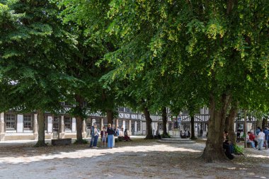 Rouen, Fransa - 15 Haziran 2025: Fransa 'da Rouen' de kare ve büyük yaşlı ağaçlı şehir manzarası