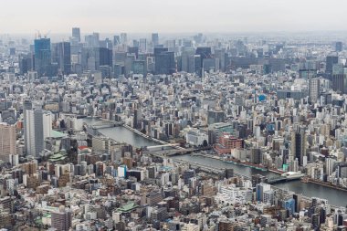 Sakura Skytree kulesinden Tokyo 'nun kuşbakışı. 634 metrelik dünyanın en yüksek kulelerinden biri..