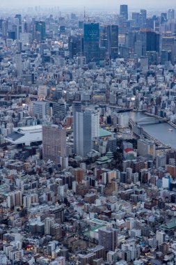 Alacakaranlık sırasında Tokyo 'daki Sakura Skytree Kulesi' nden kuşbakışı. 634 metrelik dünyanın en yüksek kulelerinden biri..