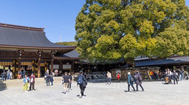 Tokyo, Japonya - 14 Mart 2025: Shibuya Tokyo 'daki Meiji Jingu tapınağının merkez meydanı