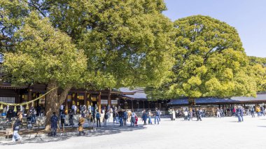 Tokyo, Japonya - 14 Mart 2025: Shibuya Tokyo 'daki Meiji Jingu tapınağının merkez meydanı