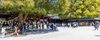 Tokyo, Japonya - 14 Mart 2025: Shibuya Tokyo 'daki Meiji Jingu tapınağının merkez meydanı
