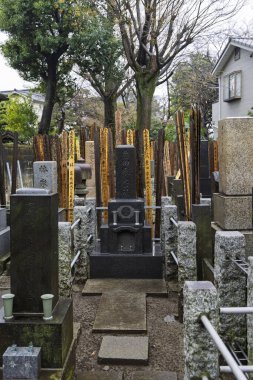 Tokyo, Japonya- 16 Mart 2025: Tokyo, Japonya 'da Taito şehrinde Yanaka mezarlığı