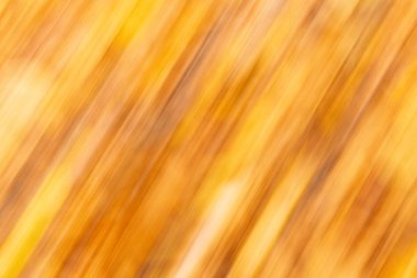 Sonbahar renklerinde yapraklardan oluşan arkaplan