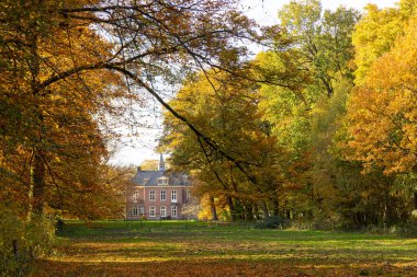 Hoekelum malikanesinde kayın ağaçlarıyla dolu sonbahar ormanı manzarası ve Ede 'deki park.