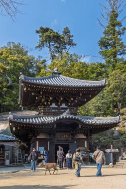 Miyajima, Japonya - 21 Mart 2025: Budist tapınağı Daishoin Misen Dağı boyunca yürüme yolu boyunca Miyajima Hatsukaichi, Japonya