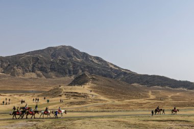 Japonya 'da Aso Kumamoto' daki Aso Dağı bölgesinde at biniciliğine rehberlik ettim.