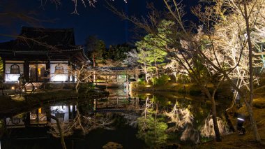 Japonya 'nın Kyoto kentindeki ilkbahar aydınlatma gösterisi sırasında ağaçların yapraklarıyla aydınlatılmış güzel Kodai-ji tapınağı suya yansıdı..