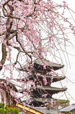 Hokan-ji Tapınağı (Yasaka Pagoda), Japonya 'nın başkenti Higashiyama-ku' da yer alan bir Budist tapınağıdır.