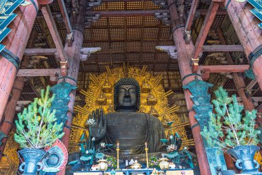 Nara, Japonya - Mach 28, 2025: Japonya 'daki Honshu adası Nara' daki Todai-ji Daibutsuden 'da (Büyük Buda Salonu) güzel büyük Buda