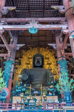 Nara, Japonya - Mach 28, 2025: Japonya 'daki Honshu adası Nara' daki Todai-ji Daibutsuden 'da (Büyük Buda Salonu) güzel büyük Buda