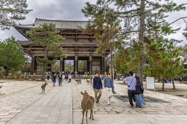 Nara, Japonya - Mach 28, 2025: Japonya 'daki Honshu adası Nara' daki Todai-ji Namdaimon 'da (Büyük Güney Kapısı) yabani geyiklerin yanından geçen insanlar