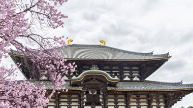 Japonya 'nın Honshu adası Nara' daki Todai-ji Daibutsuden (Büyük Buda Salonu) manzarası