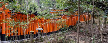 Torii kapısının manzarası Japonya 'nın Kyoto kentindeki Fushimi Inari Taisha' nın tepesinde yürüyor.