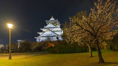 Osaka 'daki Aydınlatılmış Beyaz Osaka Kalesi