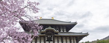 Japonya 'daki Honshu adası Nara' daki Todai-ji Daibutsuden 'ın (Büyük Buda Salonu) panoramik manzarası.