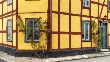 İsveç 'in güney kıyısındaki Ystad, Skane Ian kentindeki yarım keresteli sarı evler boyunca büyüyen kırmızı güllerle manzaralı sokak manzarası