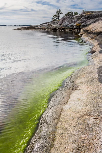 Вид со скалистого побережья Швеции на Балтийское море — стоковое фото