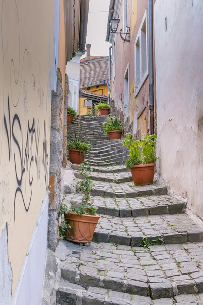 Ortaçağ merdiven Szentendre Macaristan