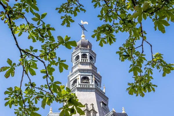 Saint John in 's-Hertogenbosch en los Países Bajos — Foto de Stock