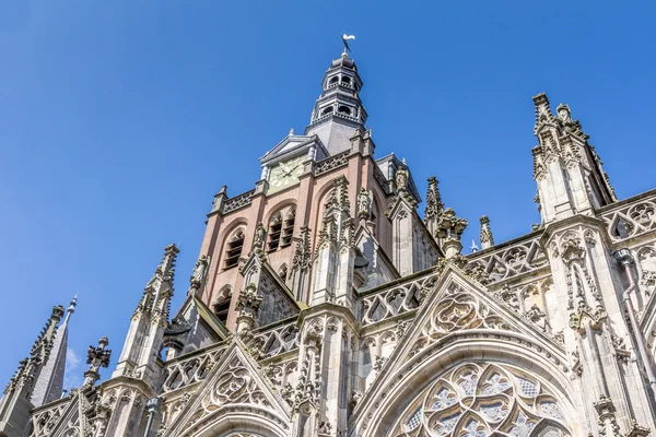 オランダでセルトーヘンボスの聖ヨハネ — ストック写真