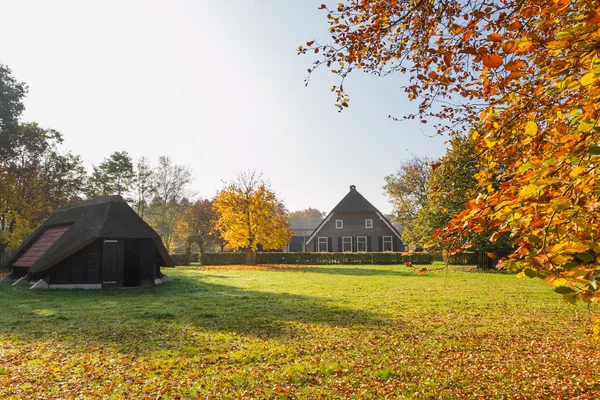 Oude boerderij en schapen schuur — Stockfoto