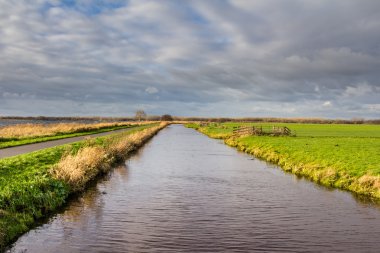 tipik Hollanda manzara