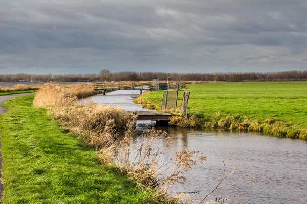 Typisch holländische Landschaft — Stockfoto