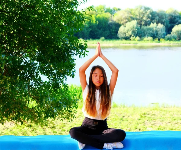 Göl Kenarındaki Yeşil Bir Parkta Yoga Egzersizleri Yapan Genç Bir — Stok fotoğraf