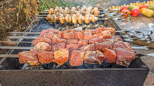 Espetos tradicionais em espetos e churrasco. Primavera recreação ao ar livre. Carne grelhada. — Fotografia de Stock