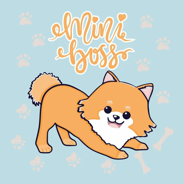 Cãozinho da Pomerânia, isolado. Pequeno Spitz alemão. Um cão pequeno. Bonito animal de estimação fofo. Pet em estilo cartoon. Ilustração do estoque vetorial —  Vetores de Stock