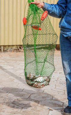 Ağa yeni takılmış balıklar. el adamı çocuk.