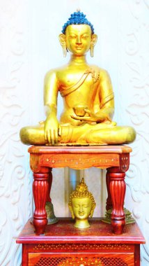 Güzel, klasik Buda Shakyamuni Siddhartha Gautama altın heykeli beyaz arka planda gözlerden uzak. Geleneksel Tibet tarzında yapılmış bir heykel..