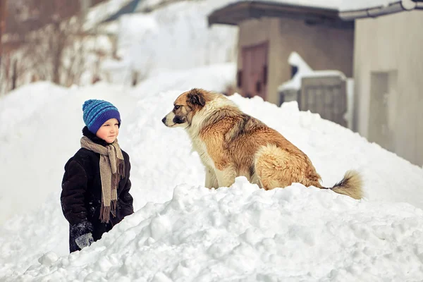 Ragazzo Che Gioca Con Cane Inverno — Foto Stock