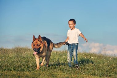 Çayırda köpekle oynayan bir çocuk.