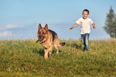 Çayırda köpekle oynayan bir çocuk.