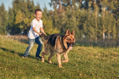 Çayırda köpekle oynayan bir çocuk.