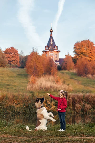 Fille Jouer Été Avec Son Chien — Photo