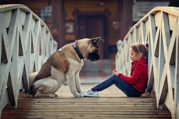 Fille Jouer Été Avec Son Chien — Photo