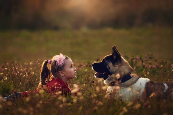 Flicka Leker Sommaren Med Sin Hund — Stockfoto