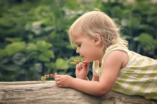 Niña Examina Bayas Grosella Jardín — Foto de Stock