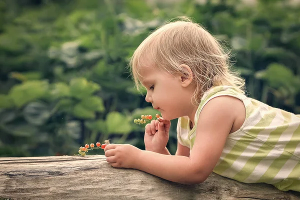 小女孩在花园里检查醋栗浆果 图库图片