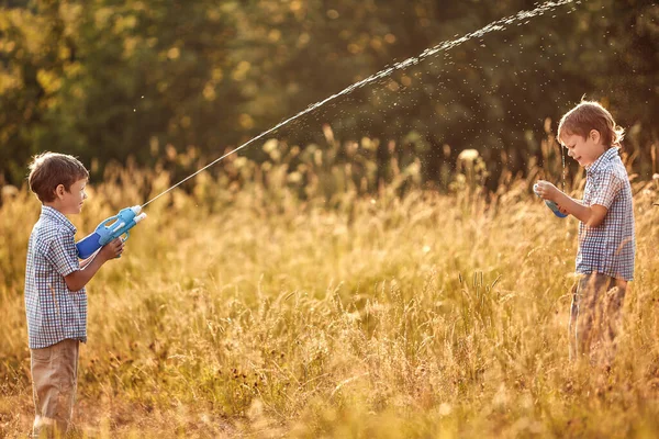 Les Jumeaux Jouent Été Dans Prairie — Photo